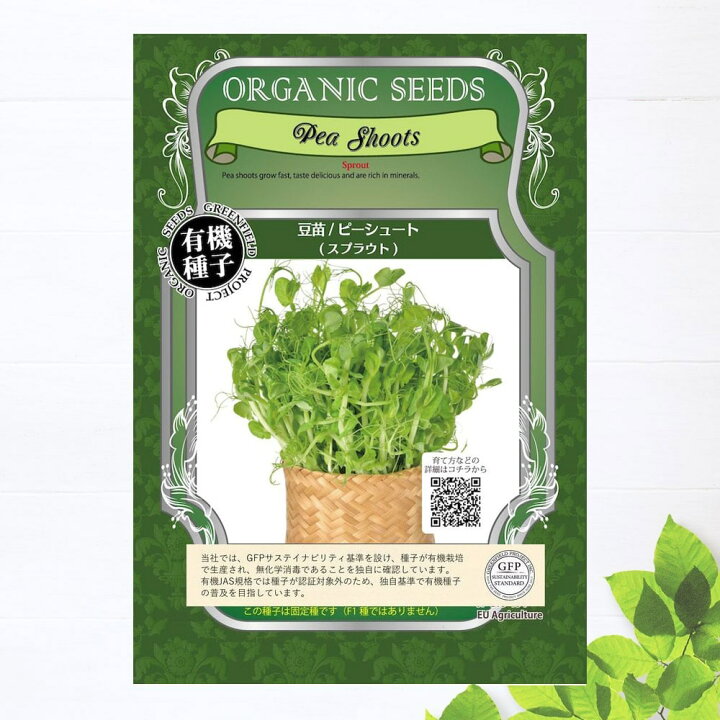 物価高騰に負けない！家計の強い味方！「豆苗」活用レシピ2選オリーブノート公式 - カラダに美味しい、オイルのノート