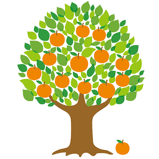 Go!伊勢崎 夏から秋・実のなる木など