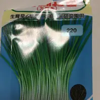 あさつき業務用食材の仕入れなら八面六臂