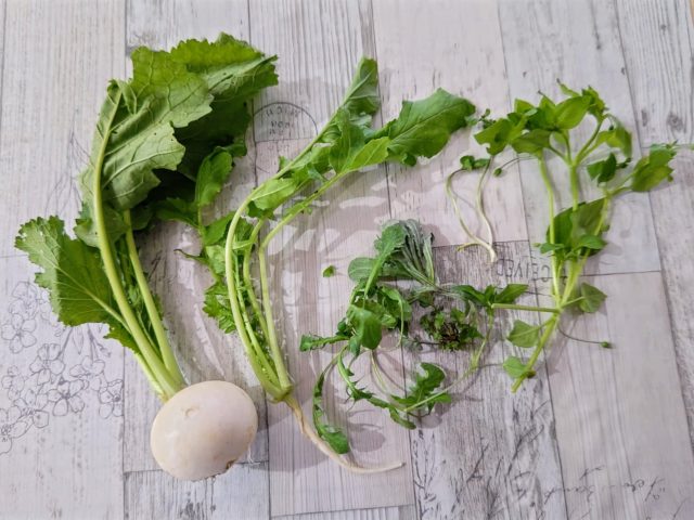 日本画原画 大根の花 春の七草 ミニ額縁付き ミニアートパネル インテリアアート 絵画 森の中 通販 18725801Creema クリーマ