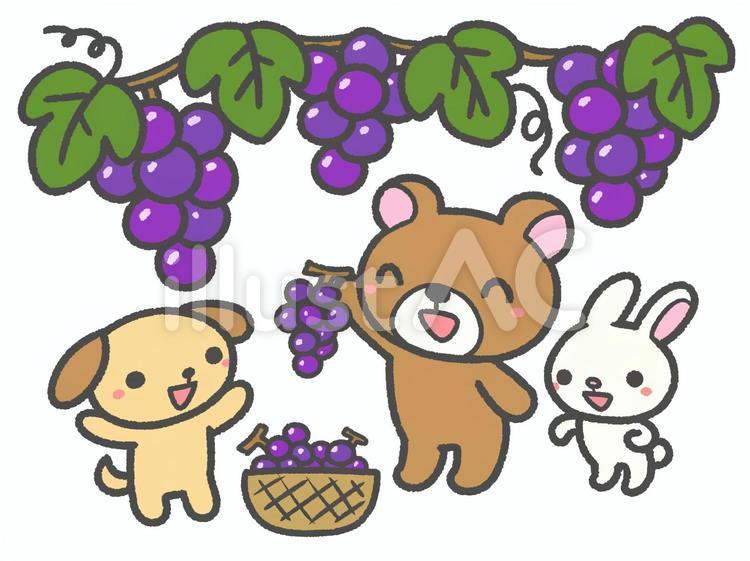 ぶどう狩りをする動物達イラスト - No: 22977967無料イラスト・フリー素材なら「イラストAC」