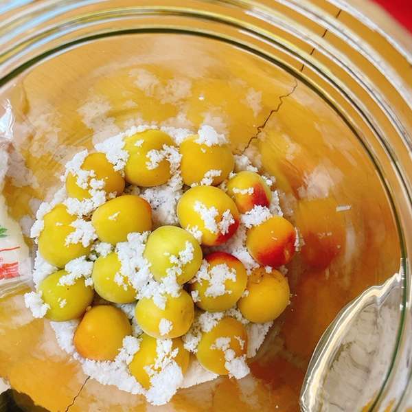 食品添加物無添加の美味しい梅干し なちゅら小梅300g梅干・南高梅のお取り寄せはトノハタ