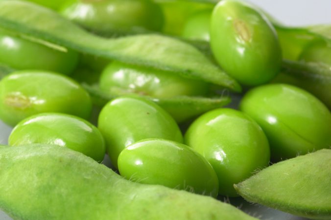 えだまめさんケージに夢中になりすぎる 再掲遊ハち＠ハムスター飼い さんのマンガツイコミ 仮