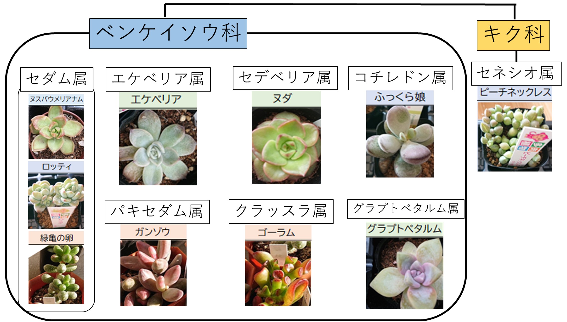 グリーンな栽培体系：近畿農政局