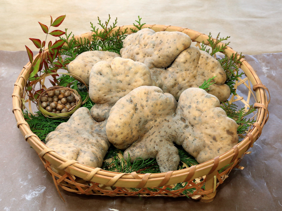 ６０歳で無職の優雅な日々: イチョウイモ 銀杏芋