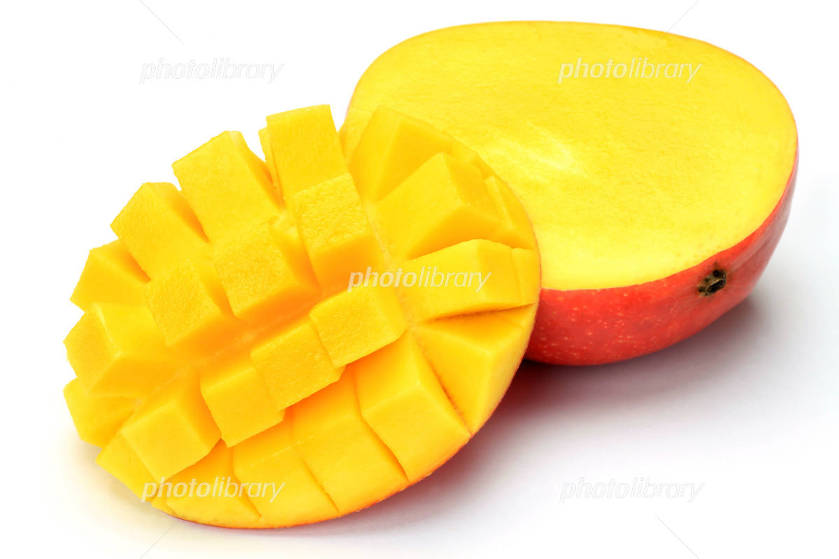 白背景のマンゴーの果実の写真素材FYI03454574ストックフォトの Qlean Market キュリンマーケット