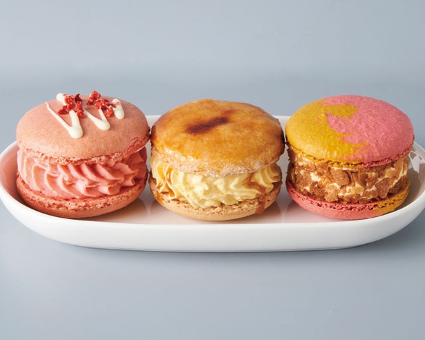 ぶる-グルテンフリー生活🧸.◌♡ハッピーバレンタイン♡ 最近ハマってる、韓国の太っちょマカロン専門店 📍シュガーマジョのマカロンバレンタイン‪限定の、ハートのカフェモカ味が出てた☕️♡ 見た目が可愛すぎる🥺💗トゥンカロン太っちょマカロン韓国韓国‬