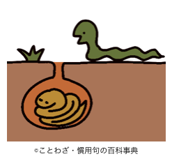 楽天市場にっぽん津々浦々 - ザ・ベスト・オブ・柿の種 100年の歴史～浪花屋製菓～