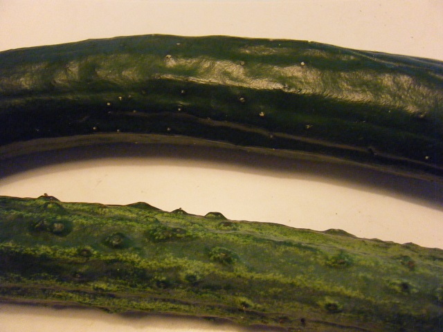 きゅうり イボイボのブルーム 写真素材3209704- フォトライブラリ