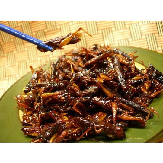 高沢食品 いなご佃煮 500g 冷蔵 惣菜 イナゴ 稲子 つくだ煮 : 厳選ショップSHOWA-Yahoo店 - 通販 - Yahoo!ショッピング