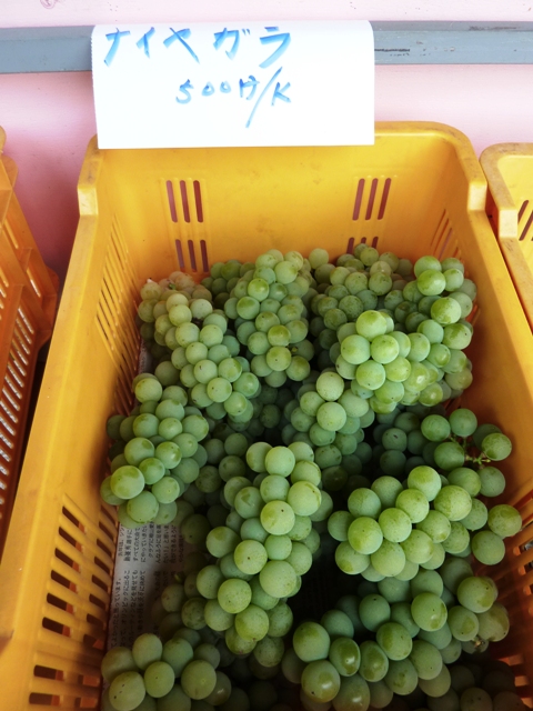 2025年完売 2026年7月頃～予約開始予定特選ぶどうナイアガラ とスチューベン詰合せ4kg 2kg×2箱 山形うまいずマーケットの通販・お取り寄せなら ぐるすぐり