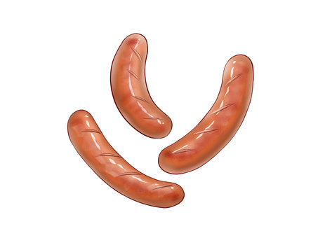 ソーセージ：イラスト無料