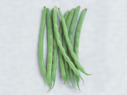 インゲンマメFrench bean