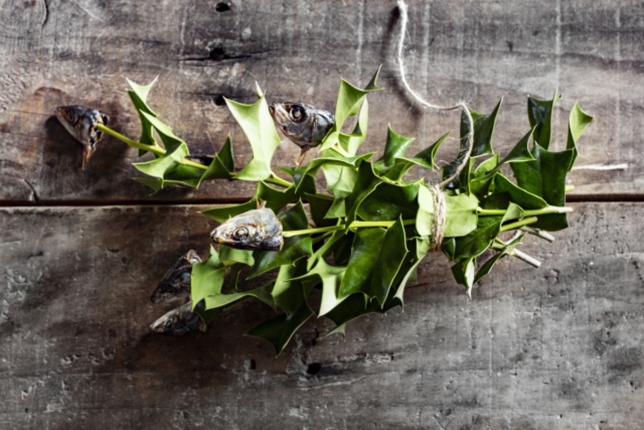 イワシの頭も信心から 日本人の奴隷的感性はいかにして作られたか 文芸社 宗像純