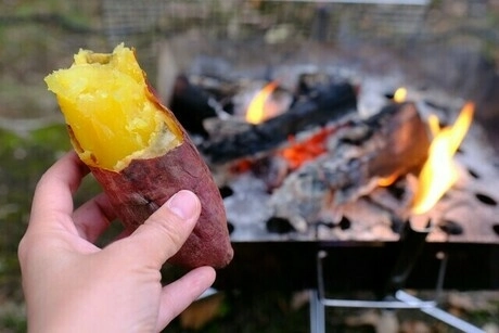 アルミホイルで自由自在！焼きいもを美味しく作るコツ - キャンプを楽しむヒント集HondaキャンプHonda公式サイト