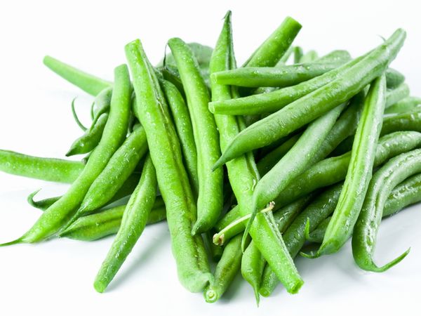 サヤインゲン 鞘隠元 さやいんげん：旬の野菜百科