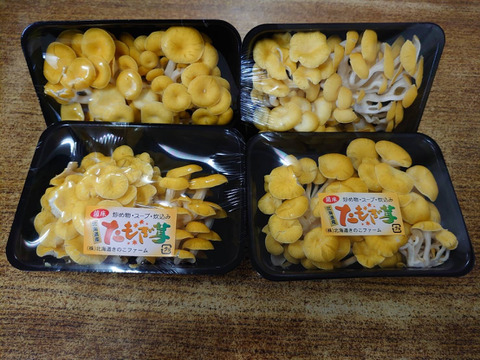 乾燥 たもぎ茸 タモギタケ 1kg 無添加 黄金たもぎだけ スーパー健康きのこ キノコ きのこ エルゴチオネン 美容 食物繊維・ミネラル等が豊富 :食材卸ダイヨー - 通販 - Yahoo!ショッピング