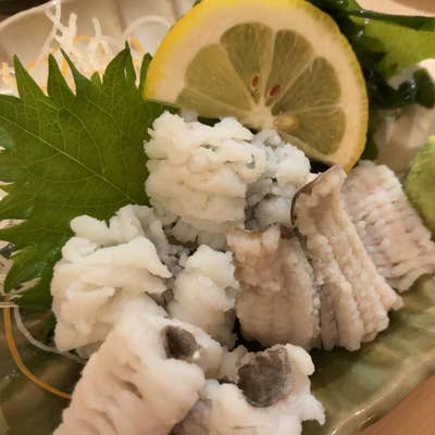 さかえすし 三ッ寺店の求人情報 - 大阪府大阪市中央区求人飲食店ドットコム