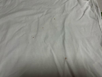 チョコ 染み 時間 が たった