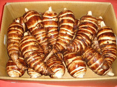 北新地・割烹店主の料理教室 『海老芋の正しい下ごしらえの仕方と海老芋を使った絶品おかず３品』 和食歴38年 コツをわかりやすく解説します