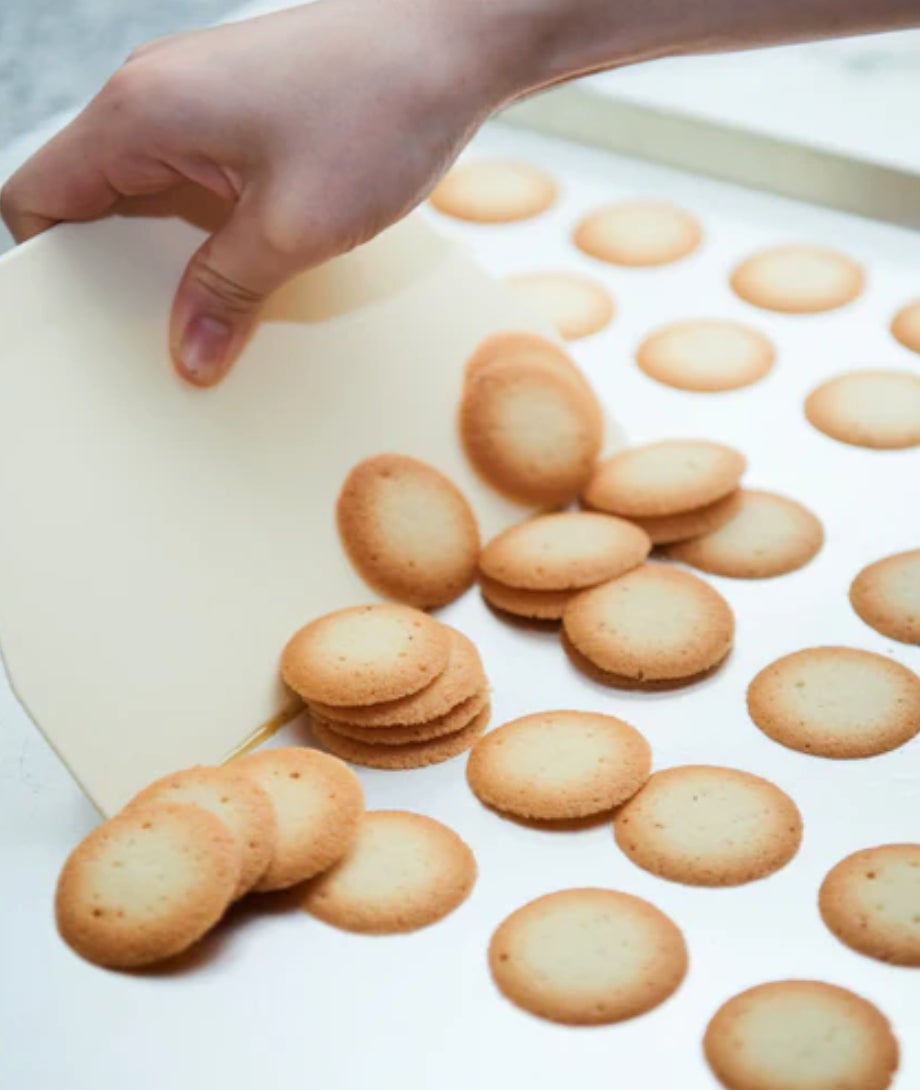 Palmier リビエール- 缶パッケージの大阪製缶株式会社