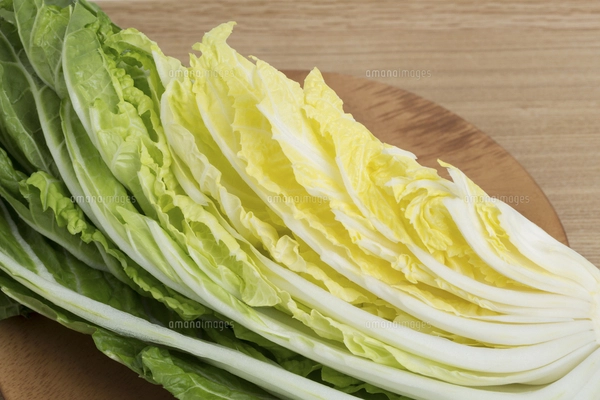 白菜 4分の1 イラスト - No: 23254772無料イラスト・フリー素材なら「イラストAC」