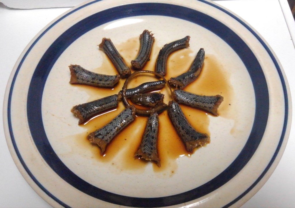 餌やり セイブシシバナヘビはマウスを何匹食べるか試した結果