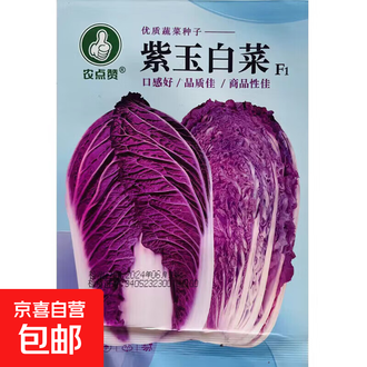 紫白菜 4玉サイズ業務用食材の仕入れなら八面六臂