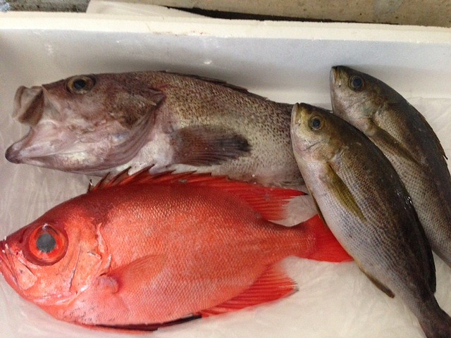 アカイサキ 赤イサキ: イル・レオーネ 千林大宮駅近くのシェフソムリエのブログ