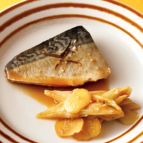 減塩 レトルト さば味噌煮 塩ぬき屋無塩ドットコム