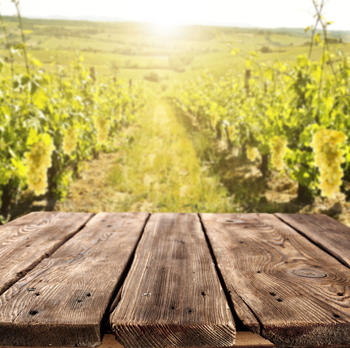 茶葉にたちのぼる土地の味。「日本茶テロワール」で、旅するティータイムを三越伊勢丹の食メディアFOODIE フーディー