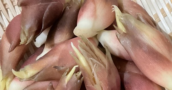 今が旬！ もりもり食べたい、夏野菜レシピ21選ELLE gourmet エル・グルメ