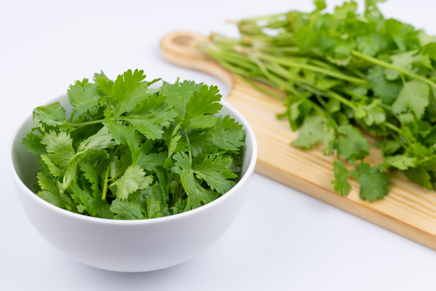 大量のパクチーと中東ベジタリアン料理KT