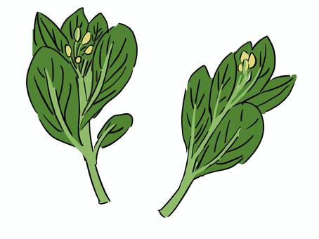 アスパラのイラスト素材 5,193点以上の高品質なイラスト素材- PIXTA ピクスタ