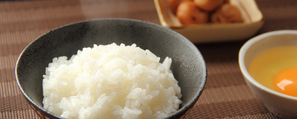 電子レンジ専用炊飯器 2合炊き 通販 ニッセン