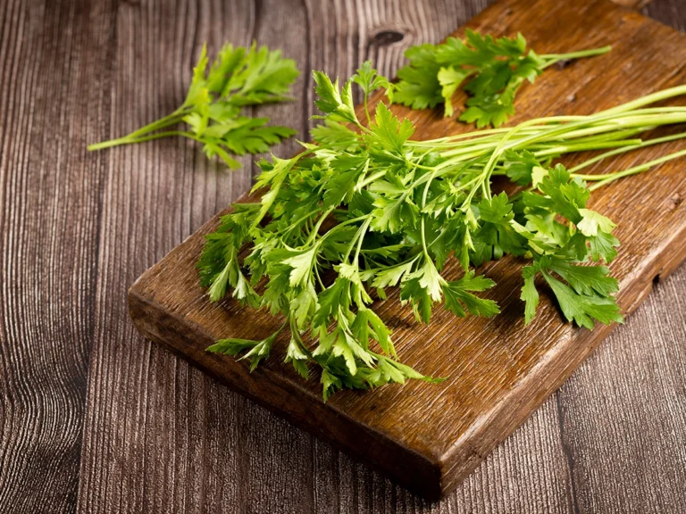 パセリの代用品 12選 バジル・青のり・オレガノは代わりになる？おすすめ代替品を紹介！代用品お探しサイト 困った時に役立つ カワルン