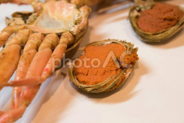 大特価！鳥取県産・兵庫県産“冷凍茹セコガニ”キャンペーン通販・お取り寄せ - 鮮魚屋 マルワフーズ渡辺水産