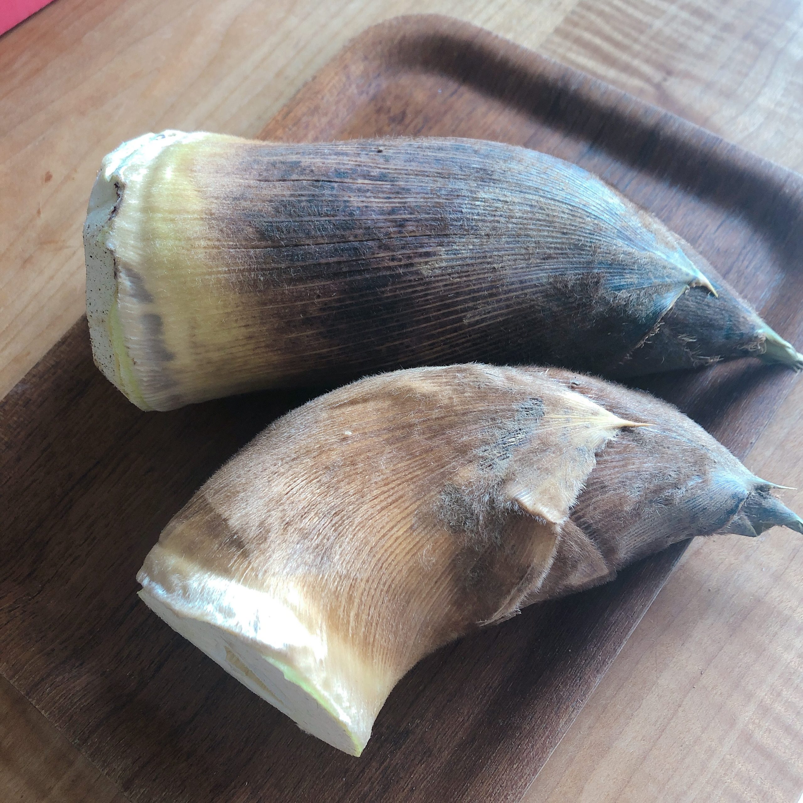 How can you tell if a bamboo shoot is delicious? - YouTube