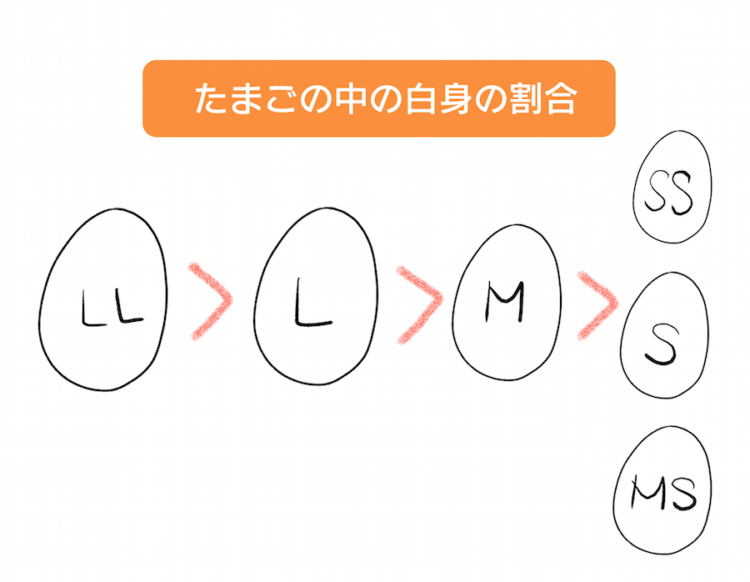 卵の話卓上パンケーキクッカー紹介サイト株式会社マスダック