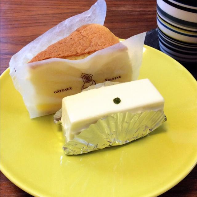 しろたえのレアチーズケーキ＆岡埜榮泉の豆大福柏の整体猫？ちゃたん君が癒すにゃん☆ ～柏市の整体院Royal Touch ロイヤルタッチ院長のゆる～いブログ～