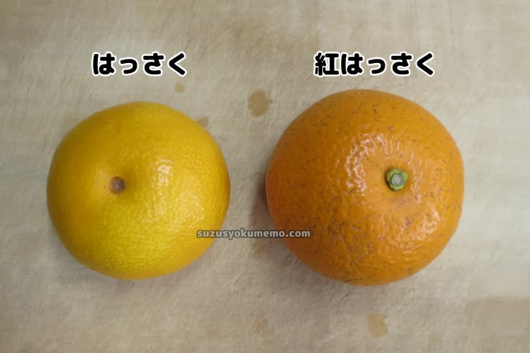 𝑻𝒐𝒔𝒉𝒊𝒌𝒂大阪16タイプパーソナルカラー診断 on X: 