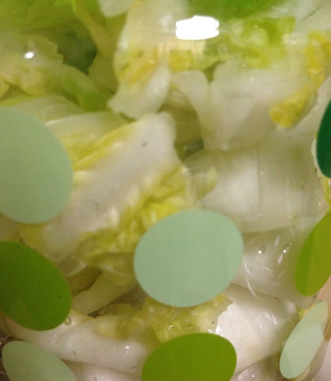 白だしで簡単♪白菜の浅漬け