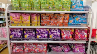 ポケモン ピカチュウ型のクッキーが作れるクッキーキットが公式から新登場！ 簡単なのに完成度高すぎぃ!!ロケットニュース24