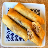 冷凍保存できる！タケノコと豚肉の春巻き～春が旬の タケノコ 香りや食感を活かす方法とは？～ - E・レシピ 1 1ページ