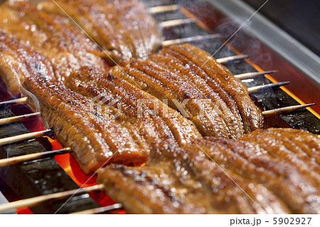 うなぎ食品画像のそざい屋さん商用可の食べ物フリー画像配布サイト