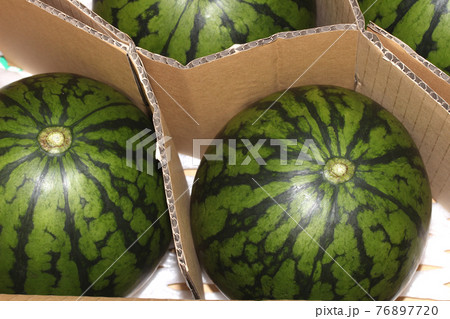 夏といったらスイカ割り！エリア創星会