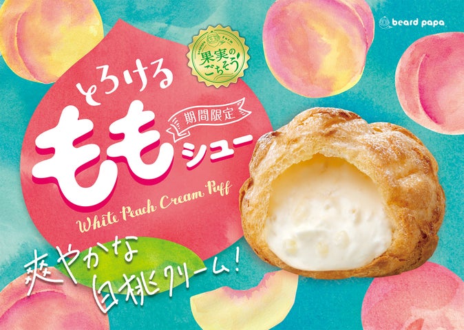 ふんわり、とろ～り！ 赤坂・しろたえの箱にみっしり詰まったシュークリームCREA編集部 今日のおやつ