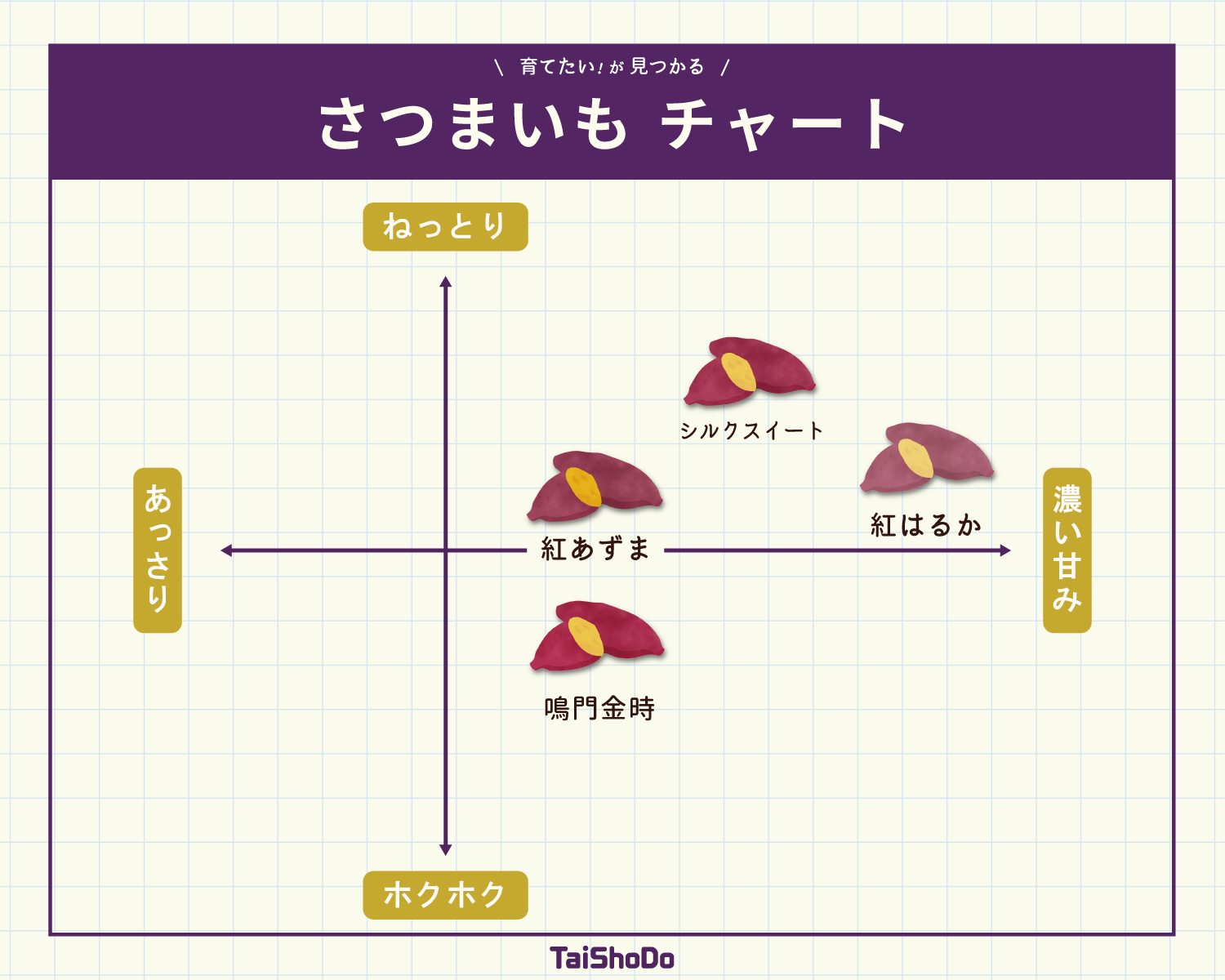千葉県産紅はるかS 5㎏ 8 さつまいも 5kg 千葉県産 貯蔵熟成