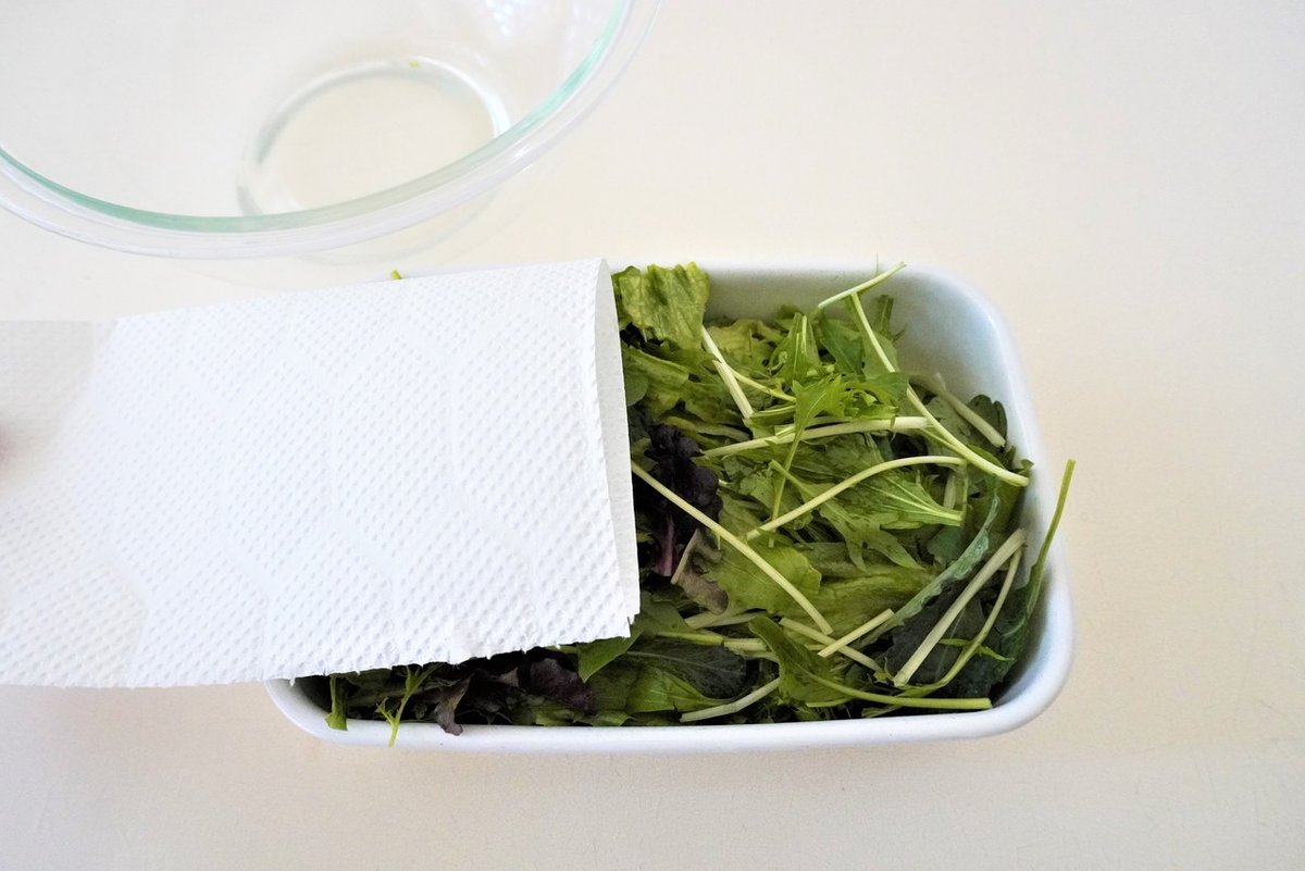 7日たってもこんなに元気！ 野菜を長もちさせる保存方法の新常識 うちにある食材でのりきろう 7- レタスクラブ