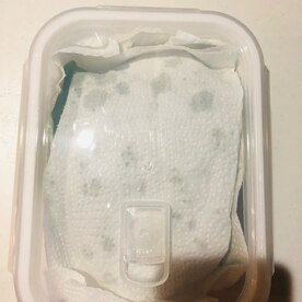 サラダ菜の選び方＆保存＆栄養 ポイントはツヤと切り口！カゴメ株式会社